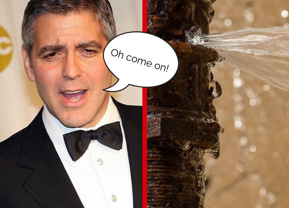 The Plumbing Disasters of Celebrities