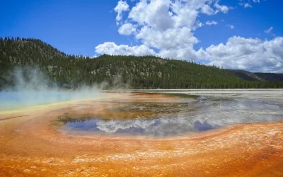 Yellowstone Could Use Apex